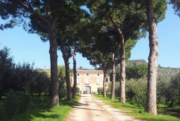 azienda agricola monte della torre azienda