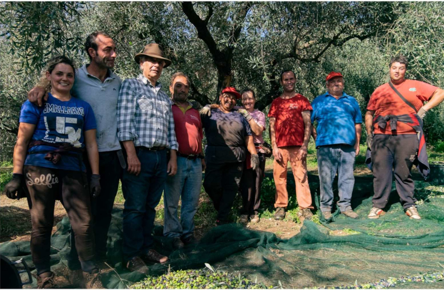 azienda agricola monte della torre chi siamo azienda agricola monte della torre chi siamo